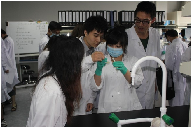 1493352089251571.png QQ圖片20170428115636.png